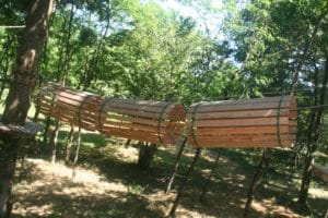 Tunelle bois parcours découverte
