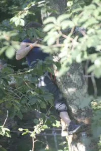 Adulte caché derriére des feuilles sur parvours sensation