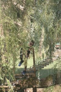 Adulte caché dans les arbres parcours ptityro