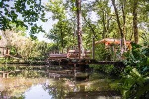 Espace détente vue du lac avec vue sur parcours d'accrobranche